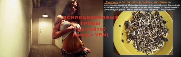 стафф Армянск